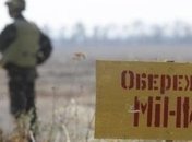 Австрия выделяет миллион на разминирование Донбасса