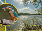 Иллюстративное фото