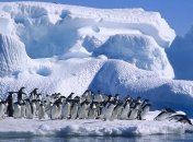 NASA: Арктические льды увеличиваются с каждым годом