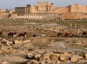 СМИ: Боевики "ИГ" готовятся взорвать римский амфитеатр в Пальмире