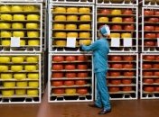 Роспотребнадзор снимает контроль каждой партии украинских сыров 