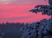 На США обрушились аномальные морозы