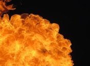 В Житомире сожгли автомобиль новоиспеченной начальницы горуправления культуры