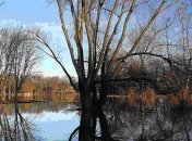 Погода в Украине на 29 февраля: во всех регионах осадков не будет