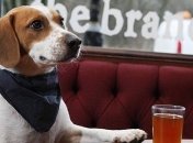 Суд обязал мэрию отменить запрет на ночную продажу алкоголя