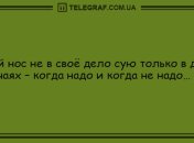 Все, что вам нужно, это хорошее настроение: подборка веселых анекдотов
