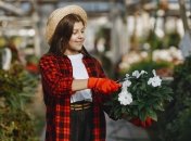 Обрізка в невідповідний сезон може зашкодити вашому саду