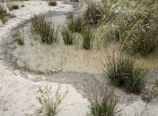 Полиция будет "наблюдать" за незаконной добычей янтаря