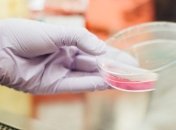 Все через Prozorro: Украина закупила около 15 тыс. тестов на коронавирус