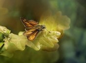 10 сентября - праздник, что категорически запрещено делать, главные приметы