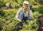 Урожайность картофеля можно повысить простым способом