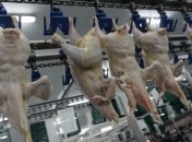 Украина и Албания утвердили форму сертификата для экспорта мяса птицы