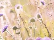 Яков теплый: приметы и обряды 13 мая