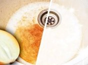 Лук – это не только приправа, придающая особый вкус нашим блюдам