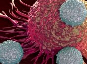 Ученые выяснили, как остановить распространение клеток четырех типов рака