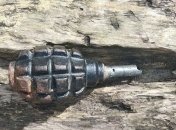 В Харьковской области пьяный мужчина подорвал себя гранатой и погиб