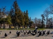 До +16 тепла и без осадков: какой будет погода на праздничные выходные