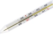 В Омске начался поиск лиц, выбросивших в зеленой зоне термометры 