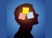 Как информация сохраняется в нашем мозге?