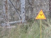 Из Чернобыльской зоны эвакуировали 500 сотрудников ЧАЭС