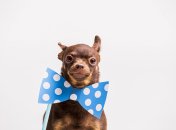 Таких везунчиков еще свет не видел