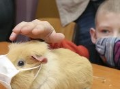 В Украине коронавирус обнаружили у 57 детей