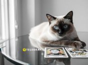 Гороскоп Таро, чего ждать 5 февраля