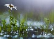 В Украину идет похолодание