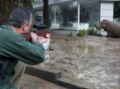 УЕФА о проведение Суперкубка в пострадавшем Тбилиси