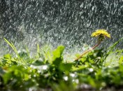 Летний дождь