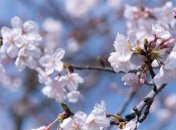 Какой праздник 22 апреля: народные приметы и запреты