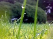 Прогноз погоды в Украине на 17 июля: ожидается дождь, местами с грозой