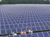 10 компаний хотят построить солнечные электростанции в Украине