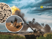 Птицы и война в Украине