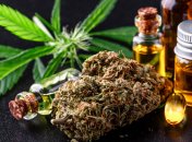 Препарати з вмістом коноплі просто необхідні під час війни