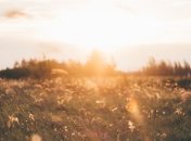 4 сентября - праздник, что категорически запрещено делать, главные приметы