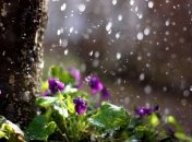 Прогноз погоды в Украине на 21 апреля