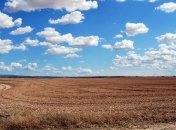 Земельная реформа: Разумков одобрил закон