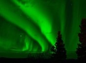 Расшифрован древний текст, где говорится о необъяснимом красном "хвосте фазана"