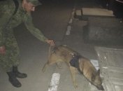 В Херсоне убили известного бизнесмена  