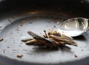 Самые неаппетитные блюда из разных стран мира (Фото)