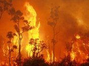 Аномальная жара вызвала масштабные пожары на юге Австралии