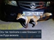 Проехала 1,5 км