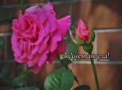 Разобрались, кого поздравляем с Днем ангела 3 августа