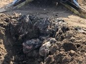 ГПУ задержала руководителей аграрного холдинга по делу о птичьих могильниках 