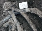 Археологи обнаружили уникальные следы древних американцев
