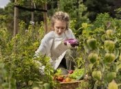 Розміщення культур на городі має важливе значення