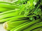 Чем полезен сельдерей для женского здоровья?