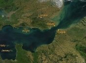 Британский спортсмен умер после многочасового заплыва через Ла-Манш