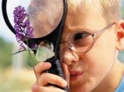 Ароматерапия помещений: советы гомеопата